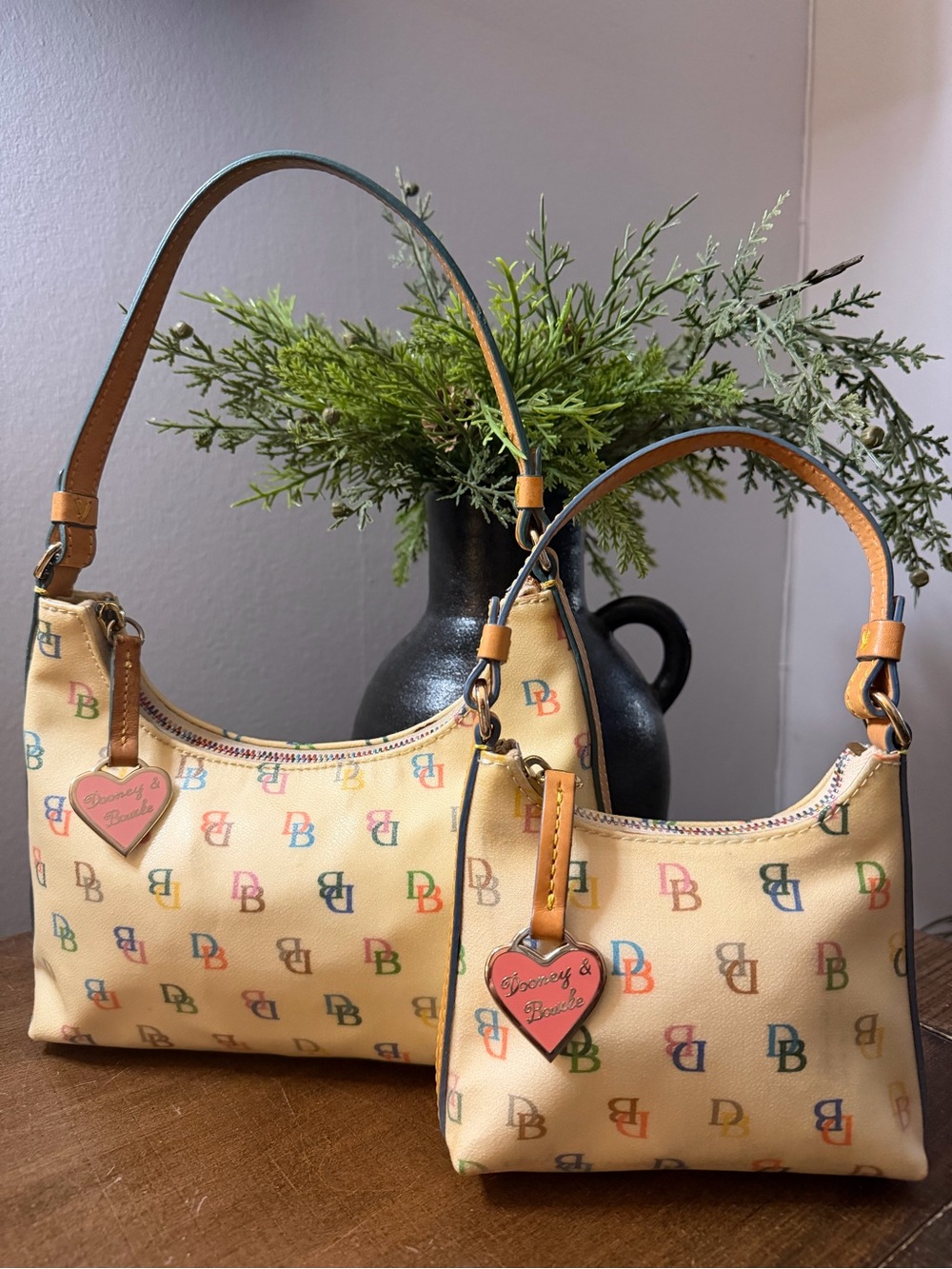 Dooney & Bourke Vintage Rainbow Duo Set